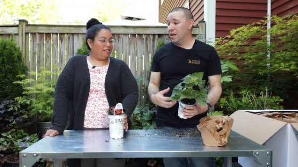 Plant Haul from Proven Winners