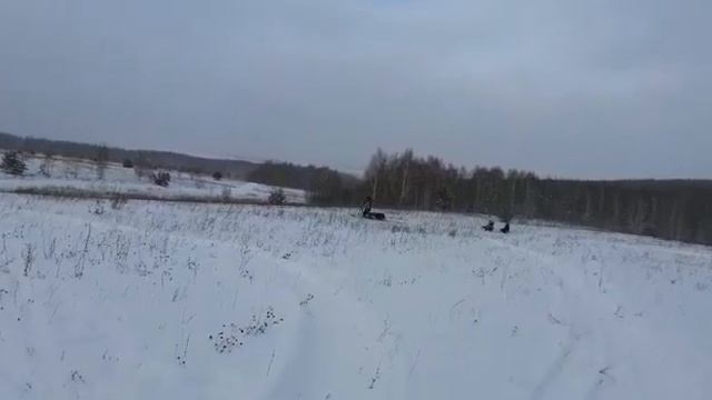 Толкач Гаджет-3. Тяну детей. смотреть онлайн