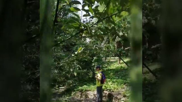 Сочи май 2021 смотреть онлайн