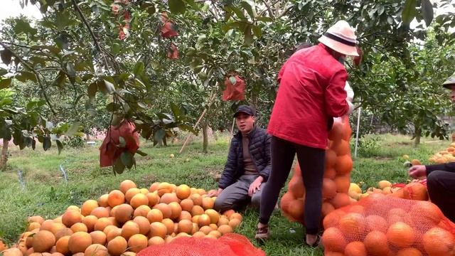 "Behind the Scenes: Secrets of a Home Renovator" смотреть онлайн