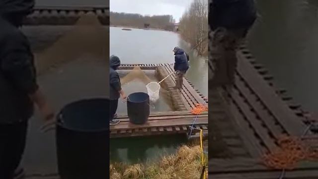 Запуск осетра в Аксёно-Бутырки 24.04.2021 смотреть онлайн