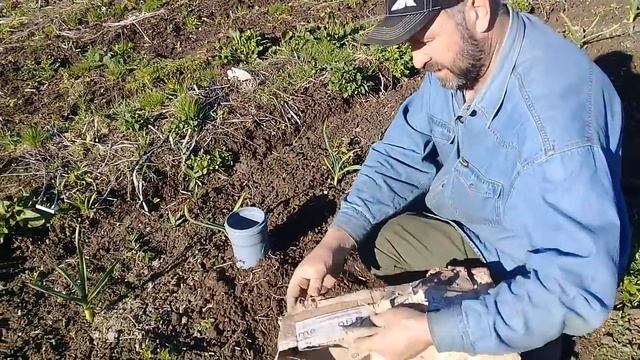 Заселение садового вермикомпостера БАШНЯ червями. смотреть онлайн