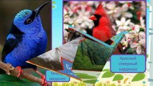 1 апреля день птиц