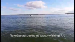 РИБ  R 450