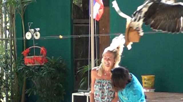 Smooth Slow - SONY HDR-CX130E смотреть онлайн