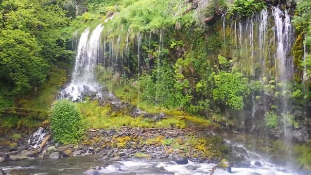 Pentax wg3 video test смотреть онлайн