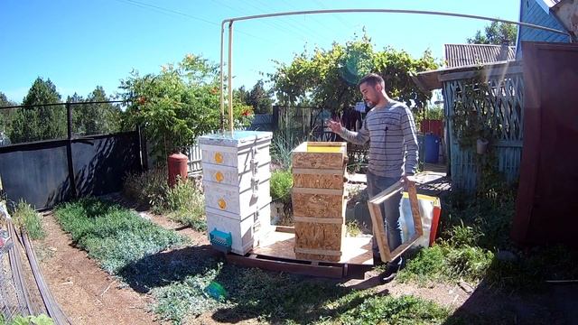 Обзор многокорпусных ульев из ОСБ и пенополистерола +мнение об эксплуатации смотреть онлайн