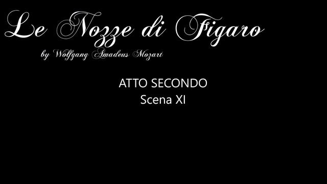 Opera Karaoke - Wolfgang Amadeus Mozart's Le Nozze Di Figaro