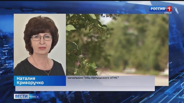 В Омской области во многих районах наблюдается опасное природное явление - суховей смотреть онлайн