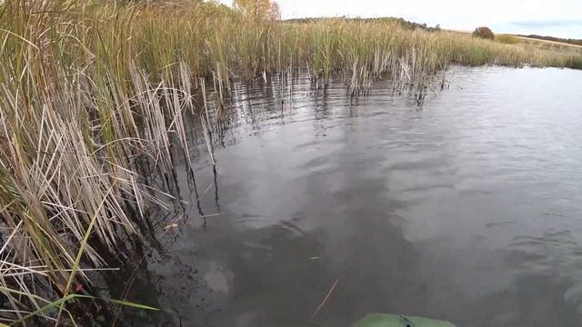 Ловля ЩУКИ на воблеры РАПАЛА смотреть онлайн