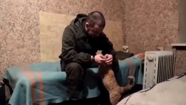 Всем без исключения Героям посвящается смотреть онлайн