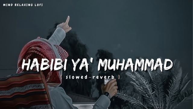 Habibi Ya Muhammad✨ (slowed Reverb) Beautiful Nasheed Naat  L Lofi Version L Mind Relaxing Naat