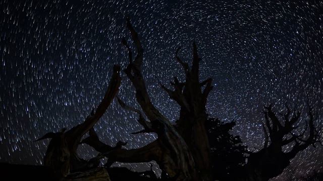 8Dio Score This: Constellations – Jinho Choi – Compassion смотреть онлайн