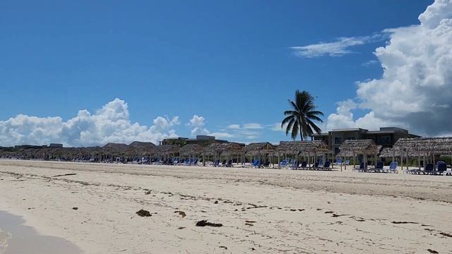 Pullman Cayo Coco, Cuba, September 2022 смотреть онлайн