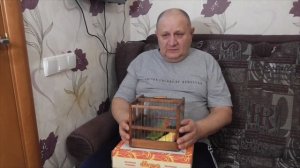 неразлучники//как выбрать попугая неразлучника // первые дни дома