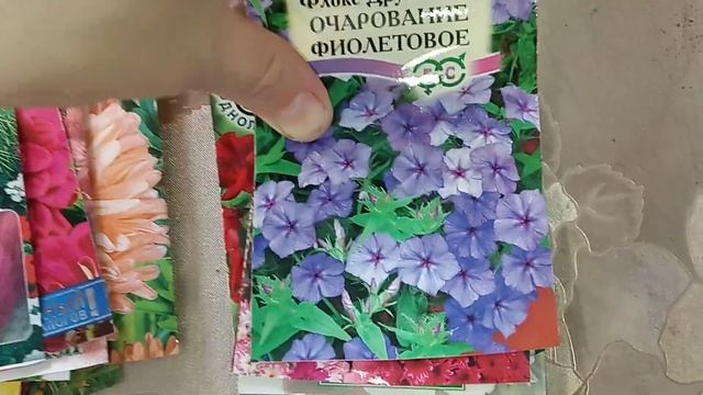 Какие цветы посеяла в апреле. Обзор. смотреть онлайн