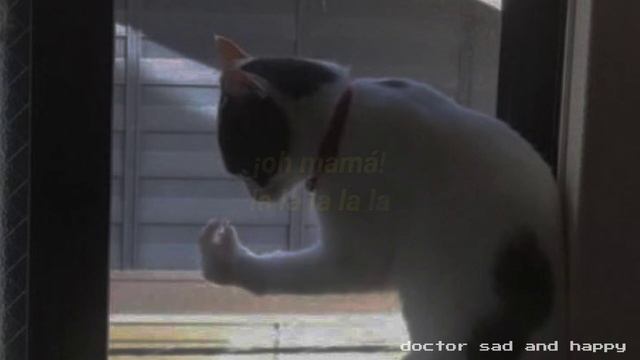 che la luna mezzo mare (español) | canción italiana de tik tok смотреть онлайн