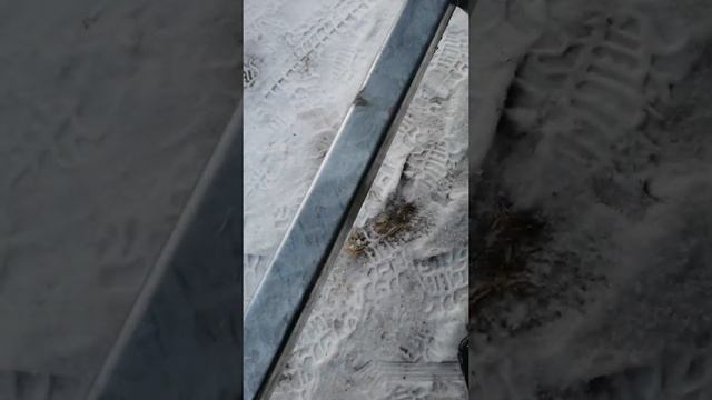 Прицеп Спутник Prо Plus 48см борт обзор. смотреть онлайн