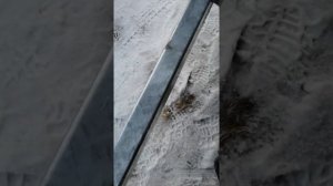 Прицеп Спутник Prо Plus 48см борт обзор.