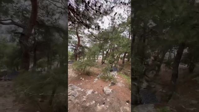 Пешая прогулка по Южному берегу Крыма 2022 ! от Резервного через пляж инжир до Балаклавы смотреть онлайн