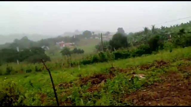 DOMINGO DE CHUVA E FRIO + CONSERTEI A TARRAFA DE MARCELINO COLATINO смотреть онлайн