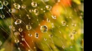 Вальс Дождя (Фредерик Шопен)