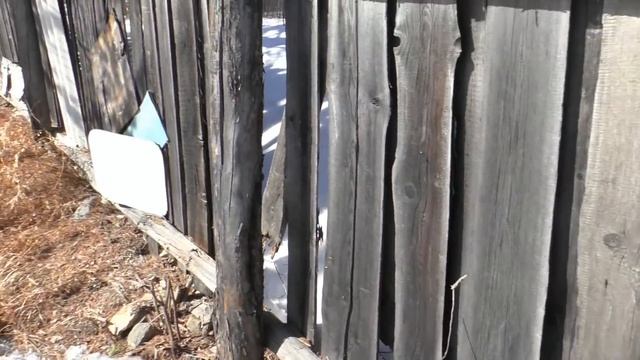 Купил участок с домиком. Возвращаюсь на Дальний Восток! Таёжная заимка, часть 1 смотреть онлайн