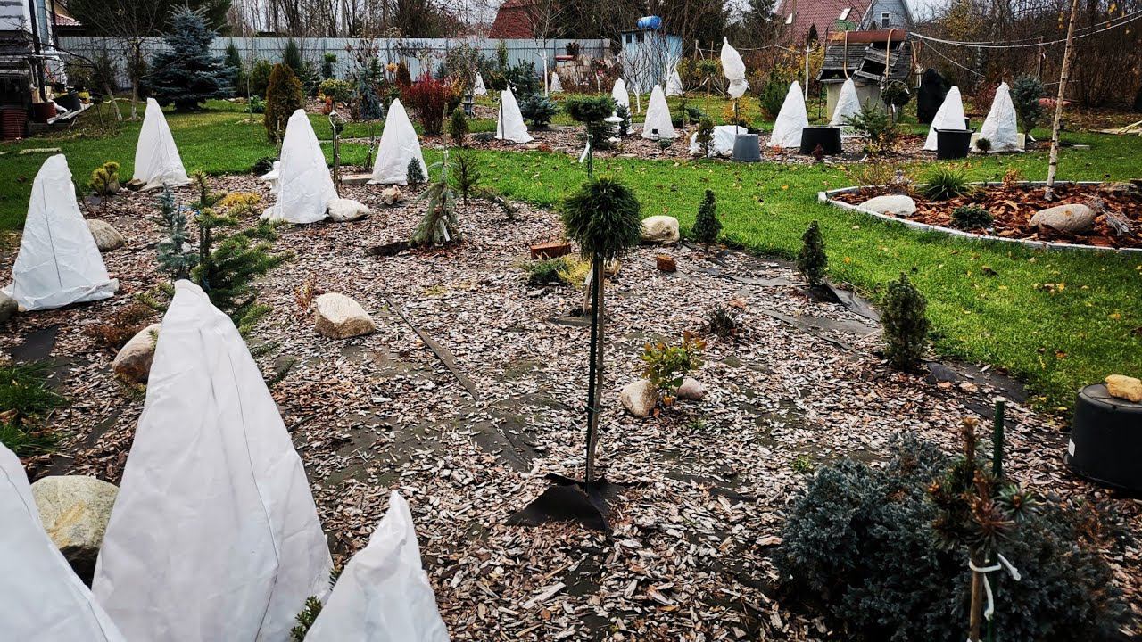 Прогулка по саду до укрытия хвойных Укрытия роз Болталка ️ смотреть онлайн