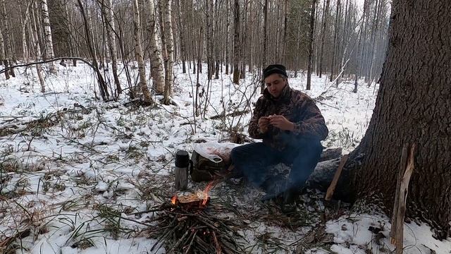 Охота с Лайками по первому снегу. Идём по следу медведя. 2021г. смотреть онлайн