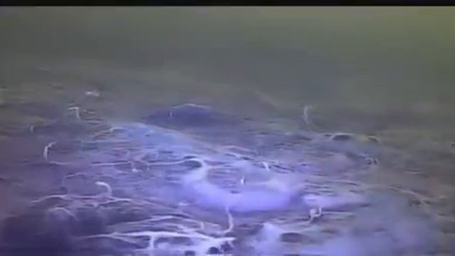 Камера для съемки под водой.