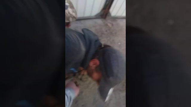 КАБАН ПРОТИВ РУДИ смотреть онлайн