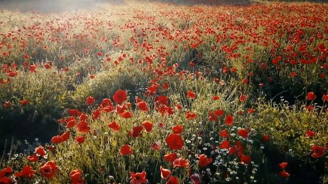 Медитация "Поиск Себя" || Вспомни себя настоящую || Ресурсная медитация-перерождение смотреть онлайн