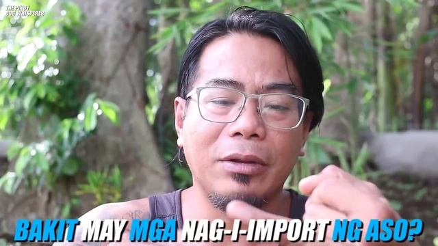 PINOY DOG WHISPERER REACTS: PHp 420K na Poodle / Raffy Tulfo In Action episode смотреть онлайн