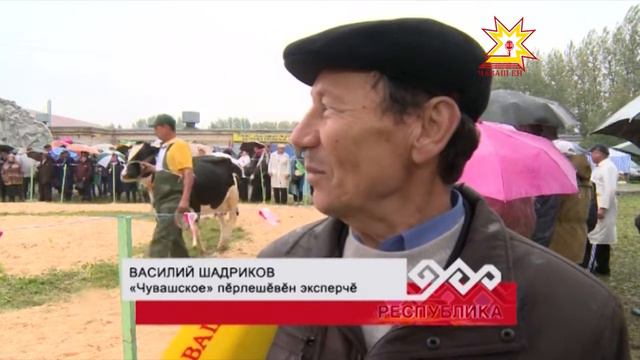 Ăратлă выльăх çумăртан хăрамасть смотреть онлайн