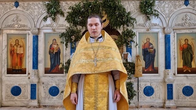 Иерей Димитрий Овчинников. Проповедь в День всех святых смотреть онлайн