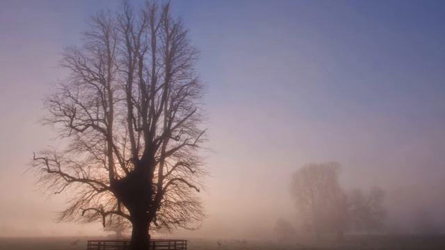 Piano solo - November Morning - (Samuele Percivaldi) смотреть онлайн