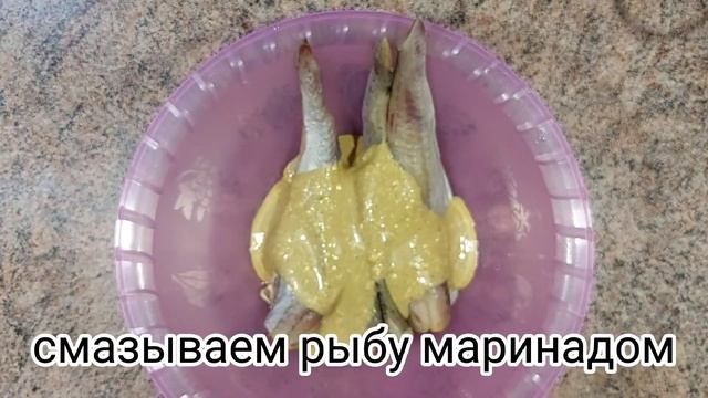 Зоопарк в Доме