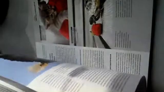 Фотошкола. Композиция снимка и техника цифровой съемки смотреть онлайн