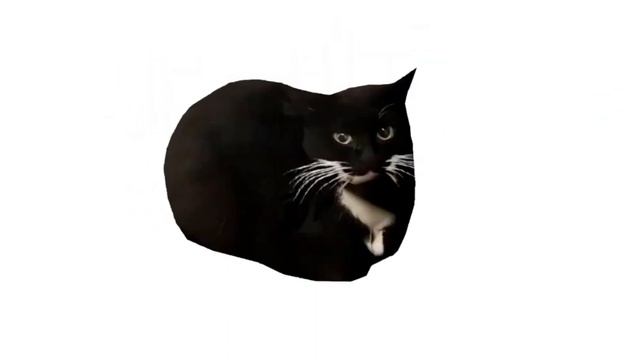 Музыка под которую удобно думать что ты кот MAXWELL ??? смотреть онлайн