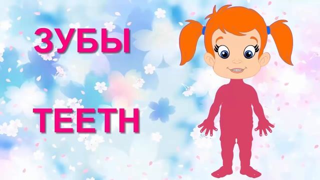 Английский для малышей /Части тела смотреть онлайн