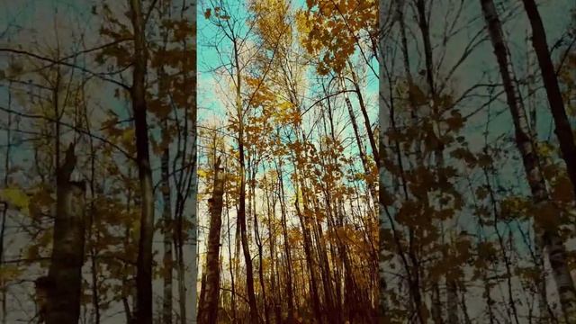 Моя Осень смотреть онлайн