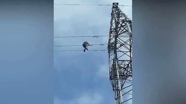 Монтаж виброгасителей на ЛЭП смотреть онлайн