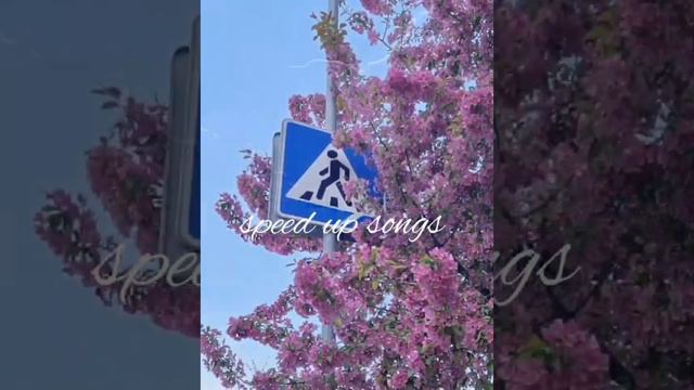 Bakr - апрельская сирень ( Speed Up Songs) 💗 #bakr #speedup #speedupsongs