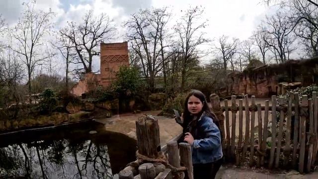 Зоопарк в Ганновере, / 2060 - Животных / 09.04.23 смотреть онлайн