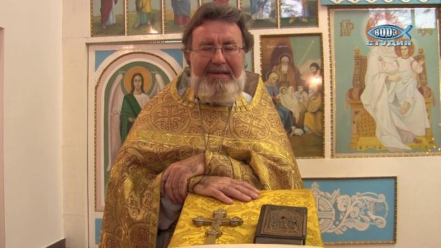 Димитриевская родительская поминальная суббота, 7 ноября 2015 смотреть онлайн