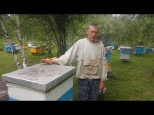 Ставим решётки и весы на контрольный улей