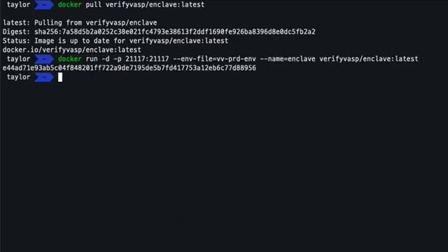 VerifyVASP install and run enclave server смотреть онлайн