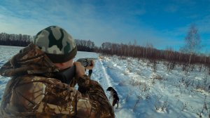 ОХОТА НА ЗАЙЦА. НАШЕЛ СВЕЖИЙ СЛЕД