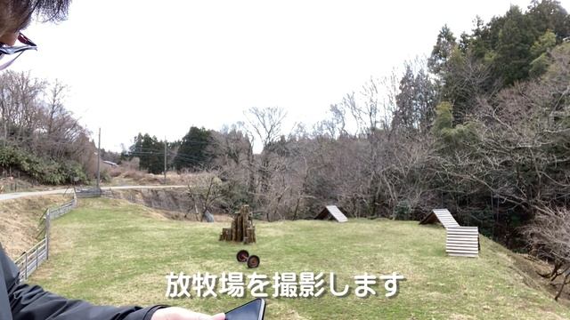 【防水カメラ購入】OLYMPUSのTough TG-6の開封と撮影比較(iPhoneXsとCanonSH720HSと写真、動画の画質と手振れの比較)オリンパスの防水コンパクトデジタルカメラ смотреть онлайн