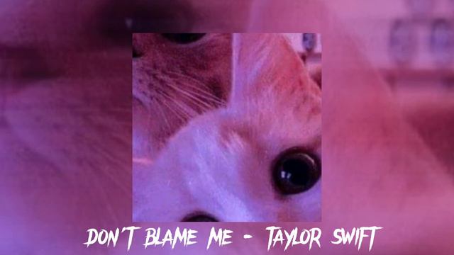 Don't blame me (sped up song) смотреть онлайн